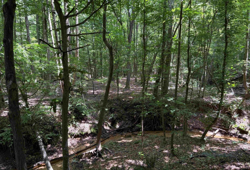 0 BEAUTY HILL RD, Bethel Springs, Tennessee 38315, 0 , 0 ,0,Land,For Sale,BEAUTY HILL,0,10223463