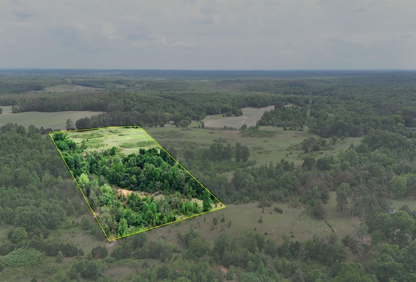 0 BEAUTY HILL RD, Bethel Springs, Tennessee 38315, ,Land,For Sale,BEAUTY HILL,10223463