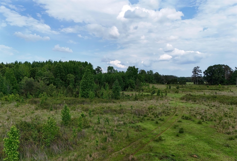 0 BEAUTY HILL RD, Bethel Springs, Tennessee 38315, ,Land,For Sale,BEAUTY HILL,10223463