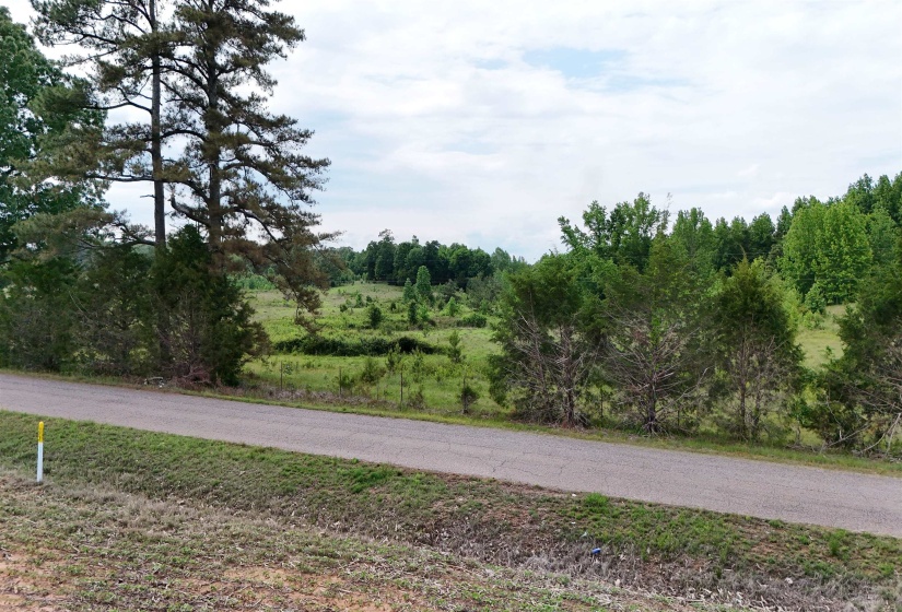 0 BEAUTY HILL RD, Bethel Springs, Tennessee 38315, ,Land,For Sale,BEAUTY HILL,10223463