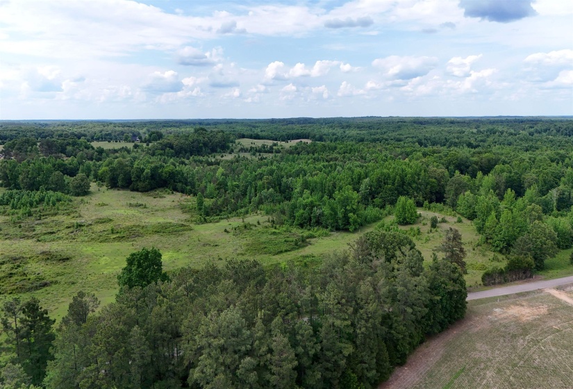 0 BEAUTY HILL RD, Bethel Springs, Tennessee 38315, ,Land,For Sale,BEAUTY HILL,10223463