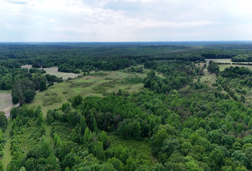 0 BEAUTY HILL RD, Bethel Springs, Tennessee 38315, ,Land,For Sale,BEAUTY HILL,10223463