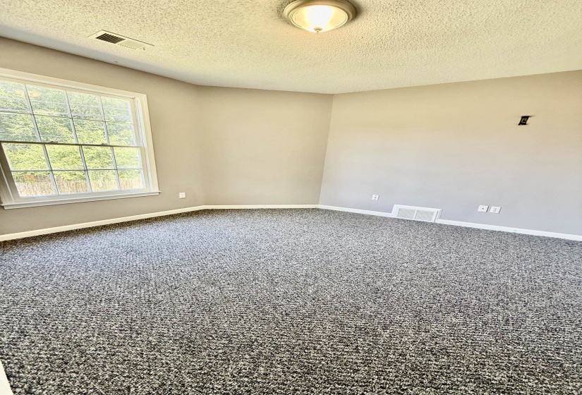Interior room featuring neutral wall paint, multi-tone gray carpeting, a large window with white trim, and a ceiling-mounted light fixture
