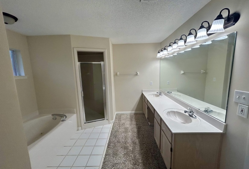 Dual vanity with integrated sinks, a large mirror, and overhead lighting