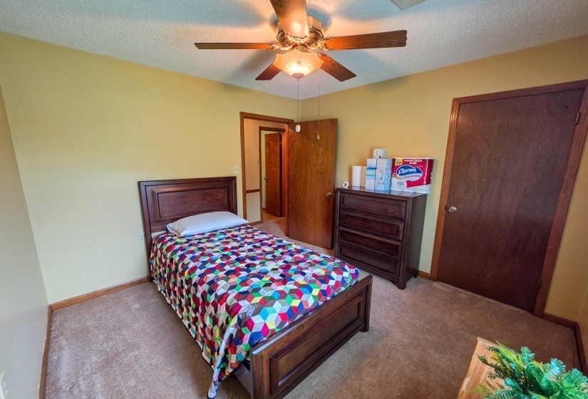 Carpeted room with a ceiling fan light fixture, light yellow wall color, and dark wood-finish trim