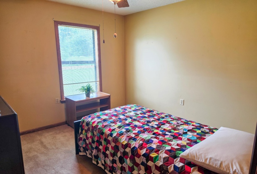 Carpeted room featuring a single window with blinds and wood-finish trim, neutral wall paint, and a ceiling fan with light fixture