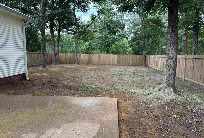 Expansive backyard featuring a new wood privacy fence, mature trees, and a concrete patio