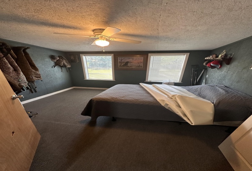 Interior room featuring two windows, carpeted flooring, a ceiling fan with light fixture, and dark wall finishes