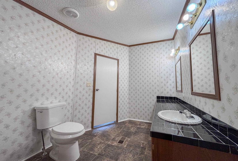 Bathroom featuring patterned wall panels, a dark tile countertop with an integrated sink, a vanity with wood-finish cabinetry, a standard toilet, and two framed mirrors under a multi-bulb light fixture