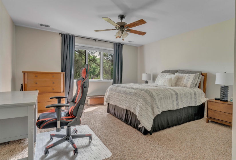 Carpeted room featuring a ceiling fan, window with exterior foliage, and neutral wall tones