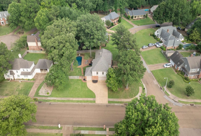Expansive property featuring a two-story residence, a large backyard swimming pool, and mature trees