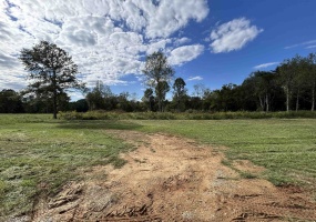 LOT 36 CORDOVA CV, Savannah, Tennessee 38372, ,Land,For Sale,CORDOVA,10223555 LOT 36 CORDOVA CV, Savannah, Tennessee 38372, ,Land,For Sale,CORDOVA,10223555