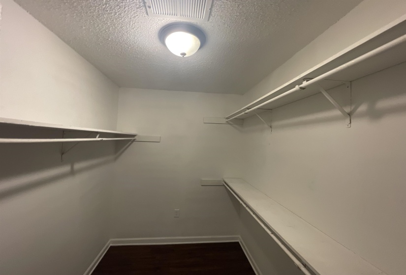 Walk-in closet with dark wood-finish flooring