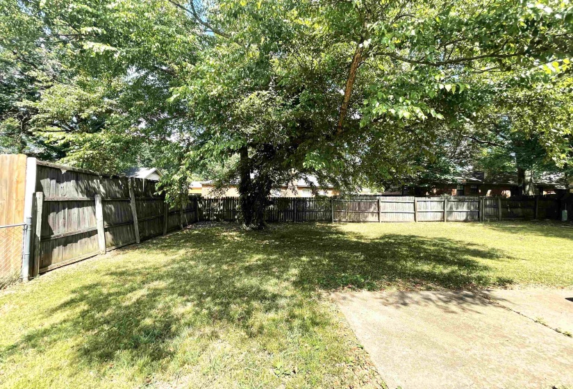 Spacious backyard featuring a large tree providing ample canopy, a manicured lawn, a wooden privacy fence, and a concrete patio area