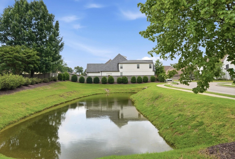 Water feature bordering a manicured lawn with established landscaping