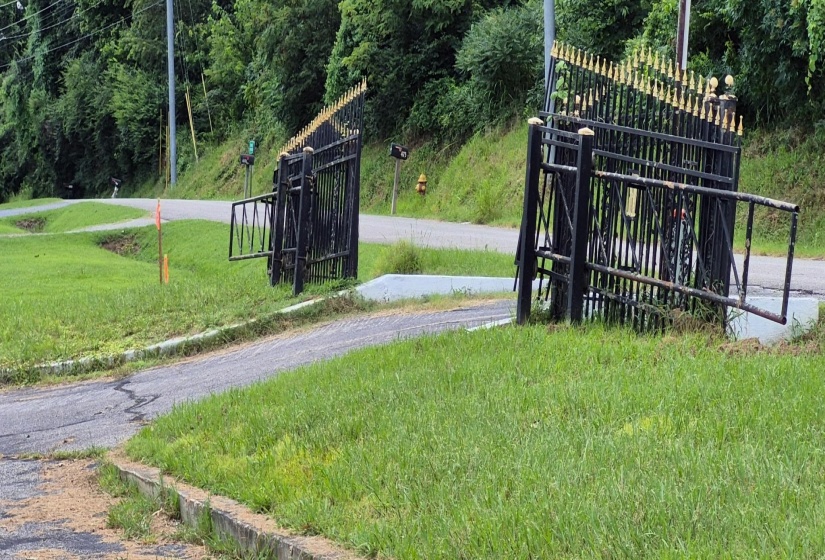 Gate with a lawn and a view of trees