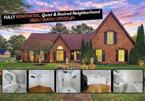 1947 MT BADON LN, Memphis, Tennessee 38016, 5 Bedrooms Bedrooms, 9 Rooms Rooms,3 BathroomsBathrooms,Rental Properties,For Sale,MT BADON,10223599 1947 MT BADON LN, Memphis, Tennessee 38016, 5 Bedrooms Bedrooms, 9 Rooms Rooms,3 BathroomsBathrooms,Rental Properties,For Sale,MT BADON,10223599