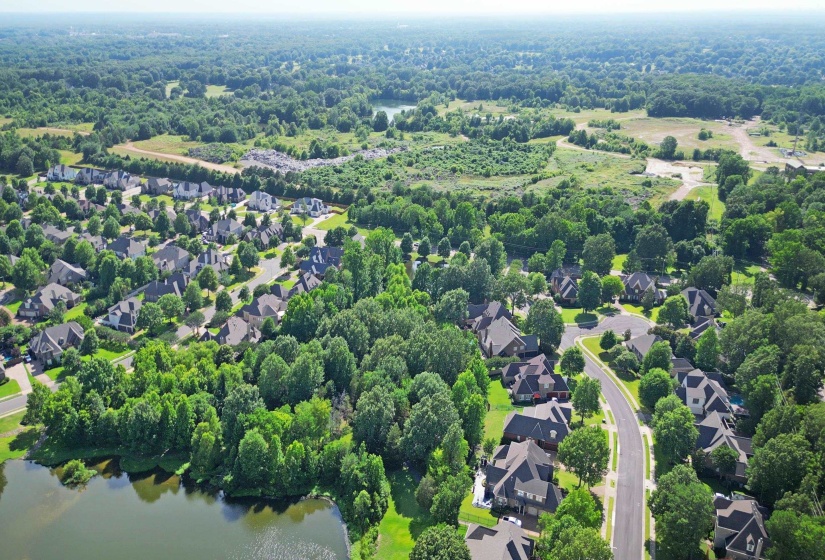 1176 BRAYRIDGE CV, Collierville, Tennessee 38017, 5 Bedroom Bedrooms, 10 Room Rooms,4.1 BathroomBathrooms,Residential,For Sale,BRAYRIDGE,0,10223260