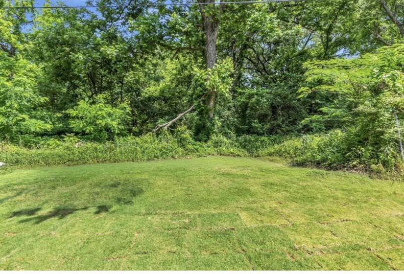 Expansive green lawn backed by dense mature foliage