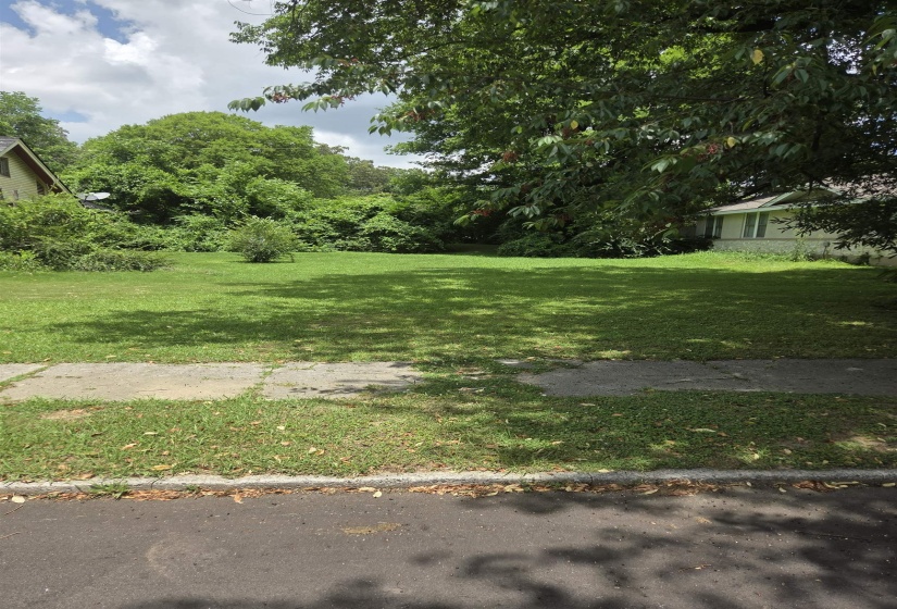 Expansive grass lot featuring mature trees, a small central bush, and a concrete sidewalk