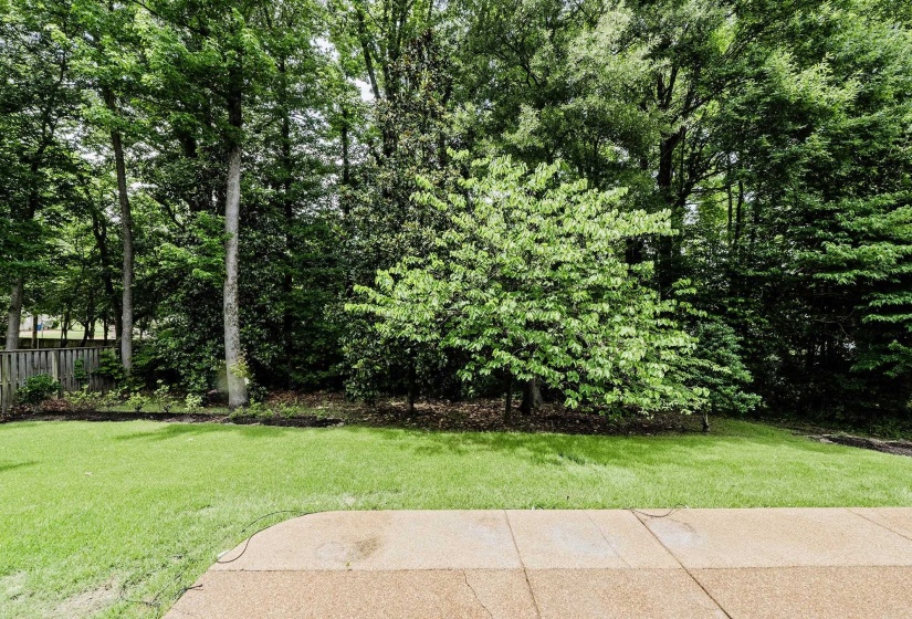 4437 COLTWOOD DR, Lakeland, Tennessee 38002, 4 Bedrooms Bedrooms, 11 Rooms Rooms,3 BathroomsBathrooms,Residential,For Sale,COLTWOOD,10223624