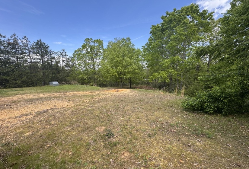Expansive cleared lot bordered by mature trees