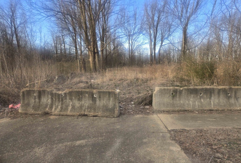 1036 FIELDS RD, Memphis, Tennessee 38109, ,Land,For Sale,FIELDS,10223692