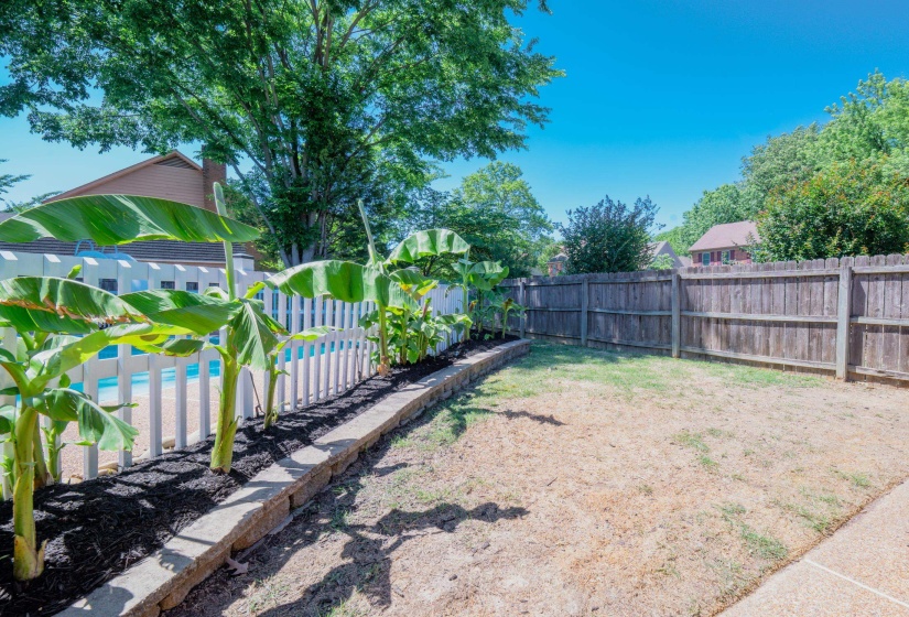 Private backyard featuring a wood privacy fence, a retaining wall with mature plantings, and a white picket fence enclosing a pool area