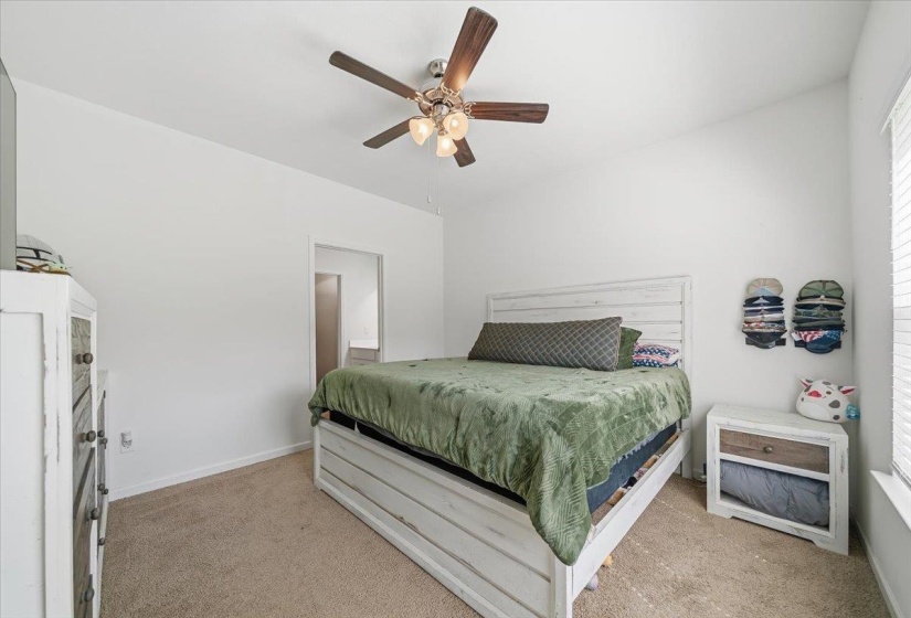 Carpeted room with a ceiling fan light fixture, white walls, and a window with horizontal blinds