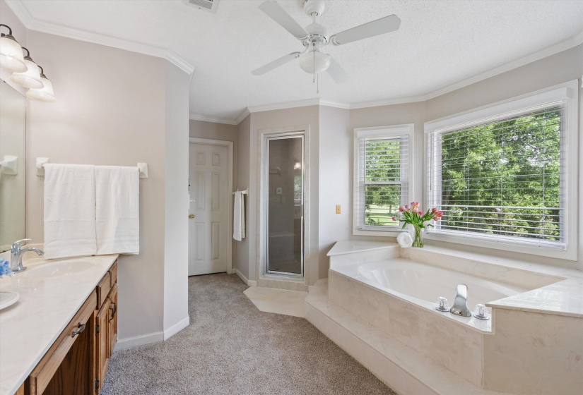 10552 EIDER CV, Collierville, Tennessee 38017, 4 Bedrooms Bedrooms, 7 Rooms Rooms,2.1 BathroomsBathrooms,Residential,For Sale,EIDER,10223685