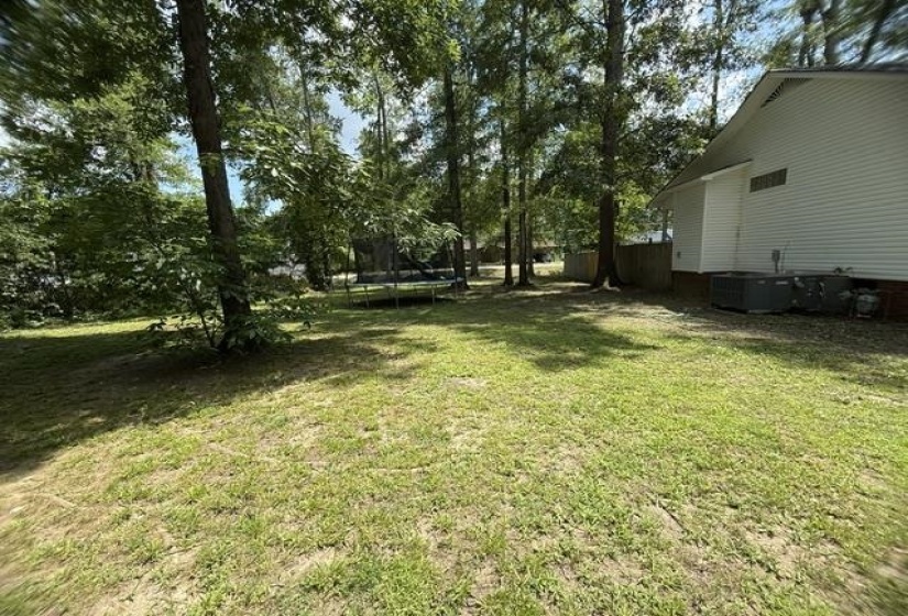 Expansive rear yard featuring mature trees and a manicured lawn