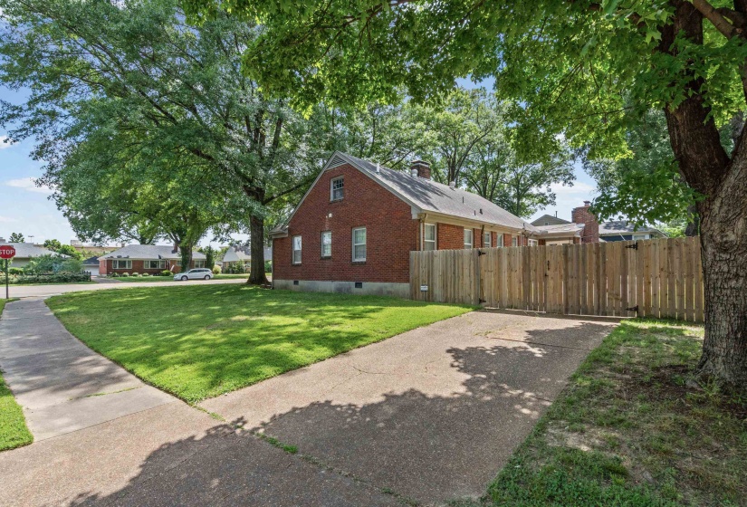Nice side yard with a side driveway and large gate to the backyard.  Easy space to store boat, trailer or for guests.