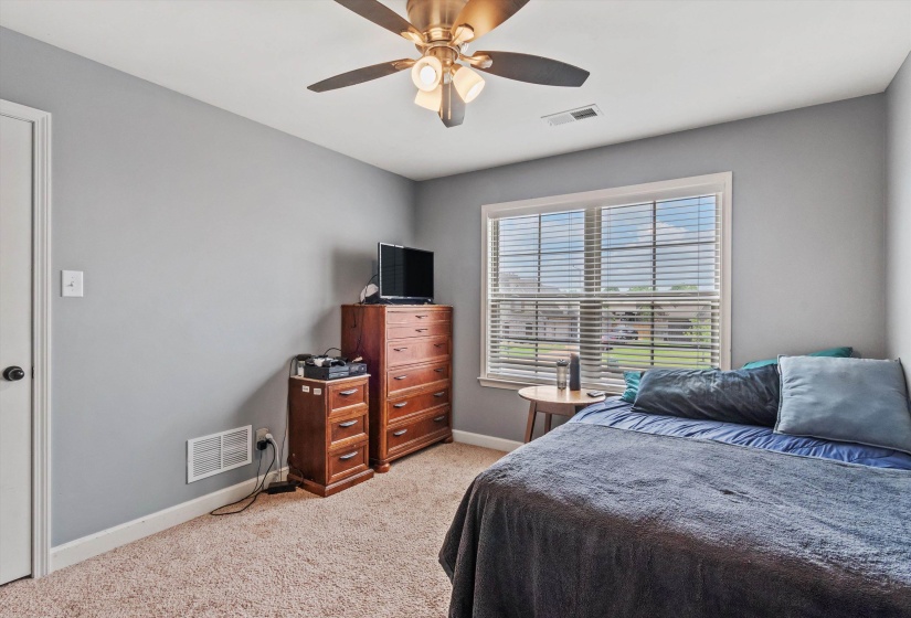 Bedroom featuring light gray walls, plush carpeting, a multi-pane window with blinds, white baseboards, and a ceiling fan with integrated lighting