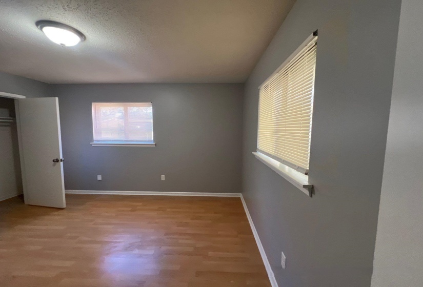 Room with wood-finish flooring, neutral gray walls, and white trim