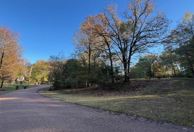 View of asphalt street with view of wooded area