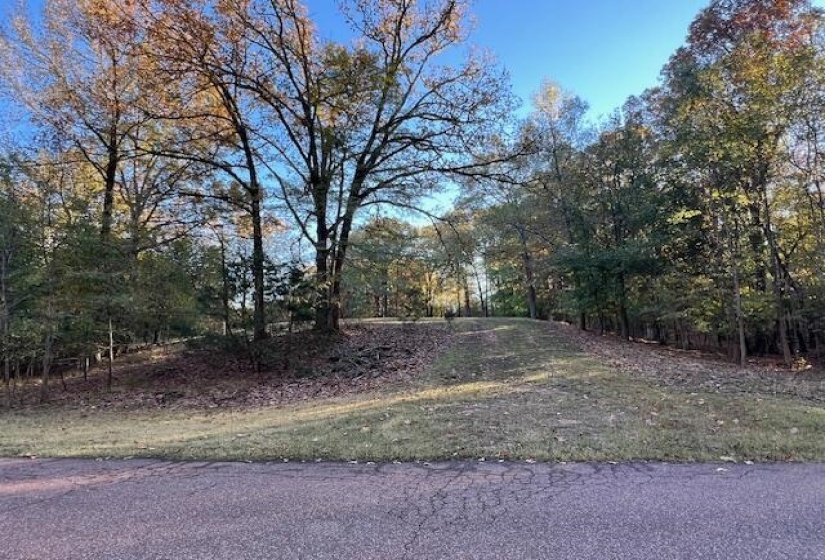 View of street with view of wooded area