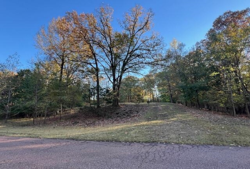 View of asphalt street with view of wooded area