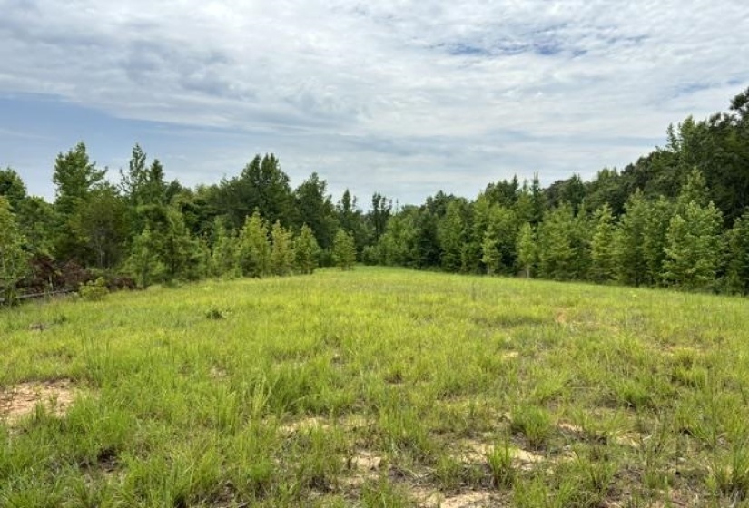 00 PURDY BEAUTY HILL RD, Bethel Springs, Tennessee 38315, 0 , 0 ,0,Land,For Sale,PURDY BEAUTY HILL,0,10223777