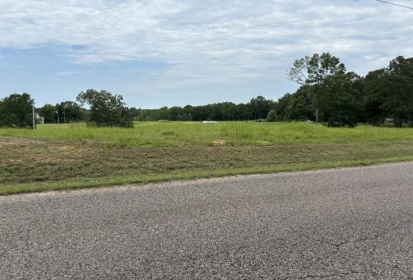 00 PURDY BEAUTY HILL RD, Bethel Springs, Tennessee 38315, 0 , 0 ,0,Land,For Sale,PURDY BEAUTY HILL,0,10223777
