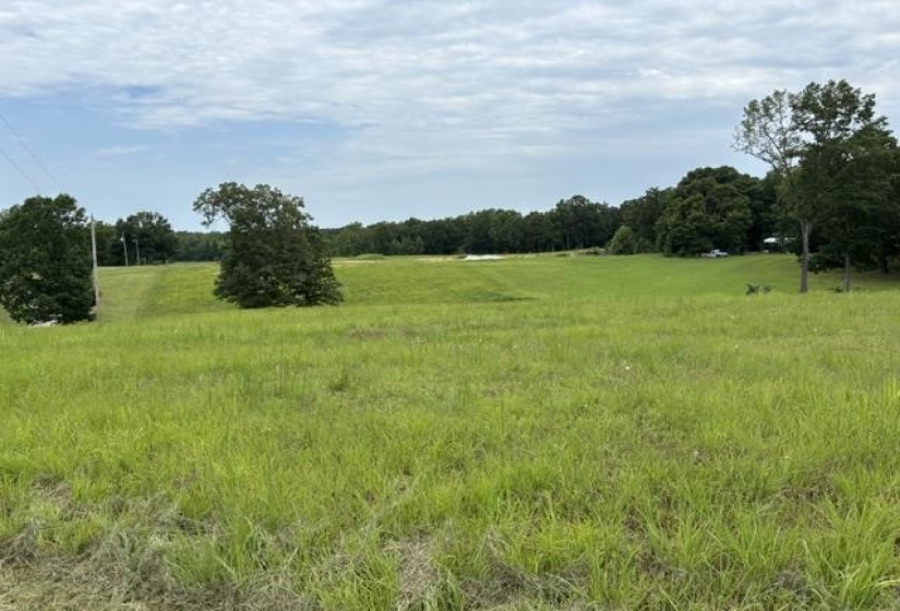 00 PURDY BEAUTY HILL RD, Bethel Springs, Tennessee 38315, 0 , 0 ,0,Land,For Sale,PURDY BEAUTY HILL,0,10223777