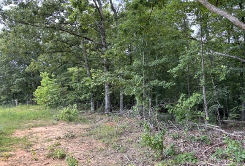 00 PURDY BEAUTY HILL RD, Bethel Springs, Tennessee 38315, 0 , 0 ,0,Land,For Sale,PURDY BEAUTY HILL,0,10223777
