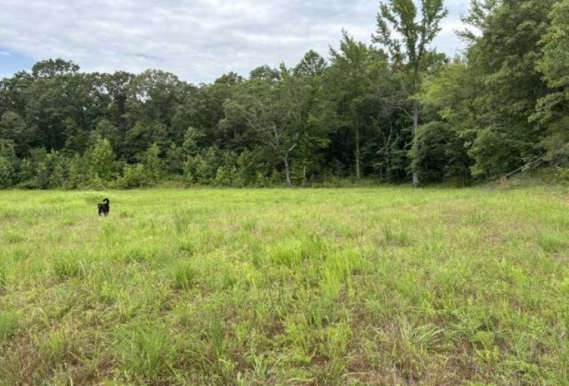 00 PURDY BEAUTY HILL RD, Bethel Springs, Tennessee 38315, 0 , 0 ,0,Land,For Sale,PURDY BEAUTY HILL,0,10223777