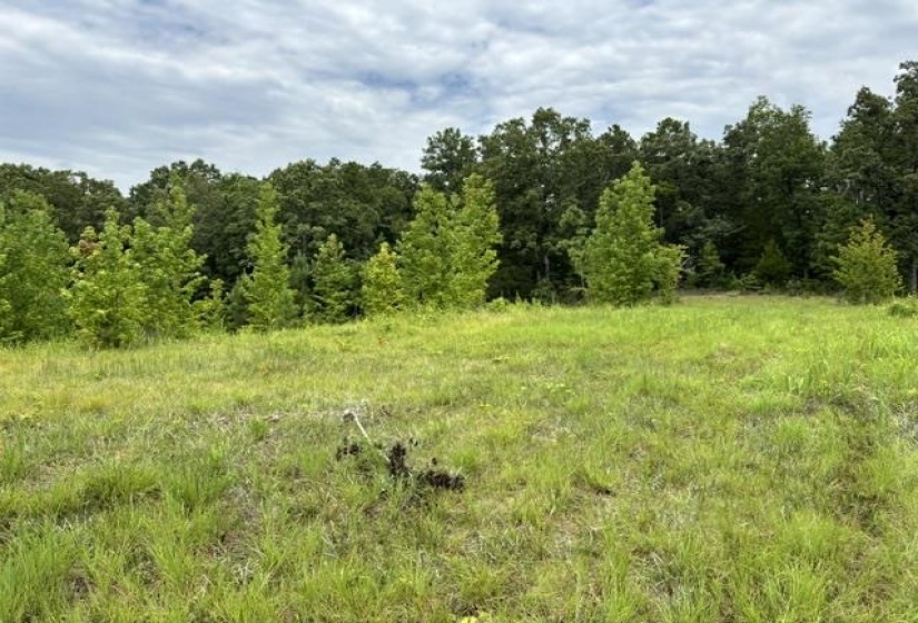 00 PURDY BEAUTY HILL RD, Bethel Springs, Tennessee 38315, 0 , 0 ,0,Land,For Sale,PURDY BEAUTY HILL,0,10223777