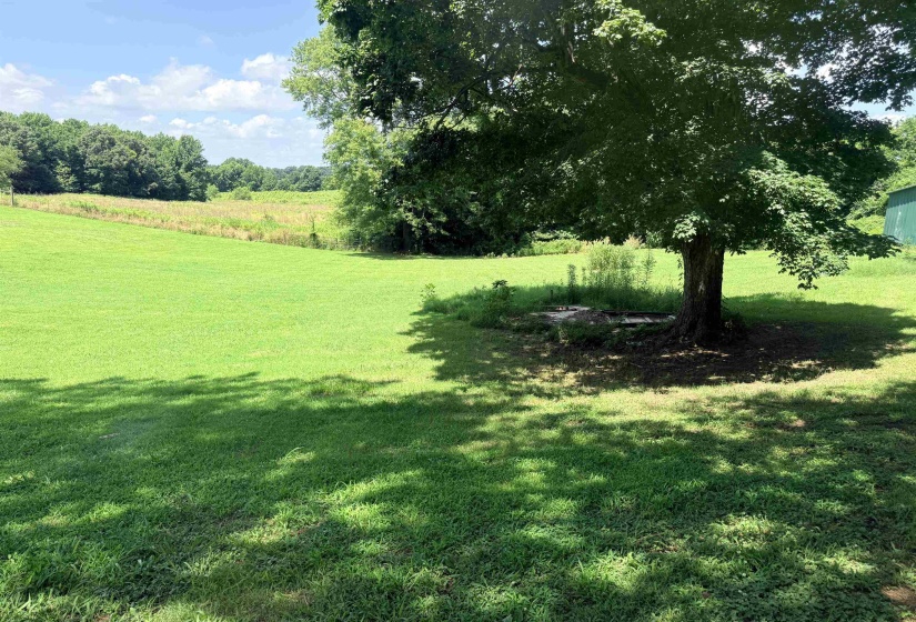 6719 CHESTNUT BLUFF MAURY CITY RD RD, Friendship, Tennessee 38034, 3 Bedroom Bedrooms, 11 Room Rooms,2 BathroomBathrooms,Residential,For Sale,CHESTNUT BLUFF MAURY CITY RD,0,10223776