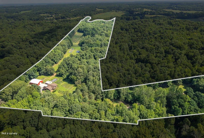 4637 EDITH NANKIPOO RD, Ripley, Tennessee 38063-7211, 3 Bedrooms Bedrooms, 7 Rooms Rooms,2 BathroomsBathrooms,Residential,For Sale,EDITH NANKIPOO,10223787