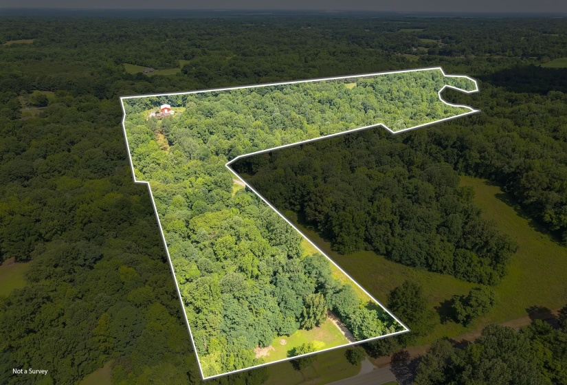 4637 EDITH NANKIPOO RD, Ripley, Tennessee 38063-7211, 3 Bedrooms Bedrooms, 7 Rooms Rooms,2 BathroomsBathrooms,Residential,For Sale,EDITH NANKIPOO,10223787