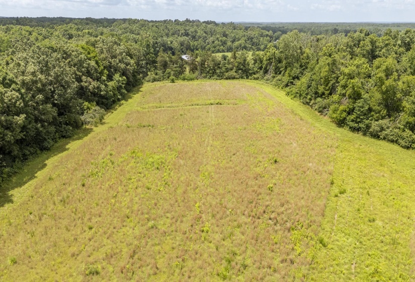 10157 CLIFTON RD, Savannah, Tennessee 38372, ,Land,For Sale,CLIFTON,10223864