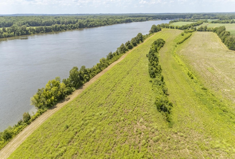 10157 CLIFTON RD, Savannah, Tennessee 38372, ,Land,For Sale,CLIFTON,10223864