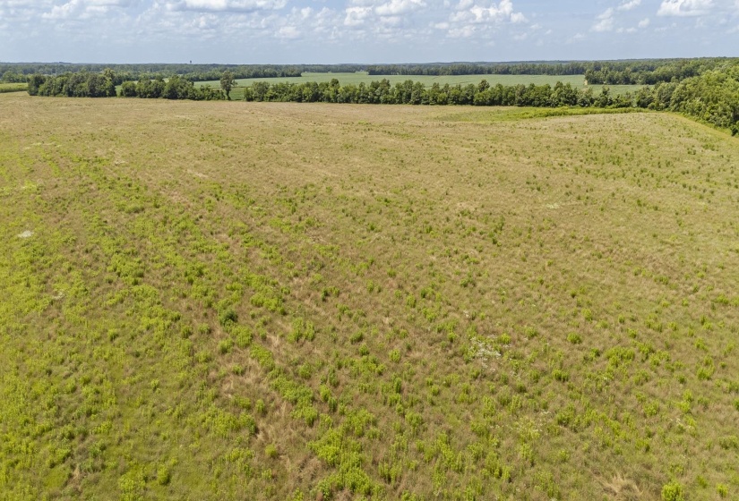 10157 CLIFTON RD, Savannah, Tennessee 38372, ,Land,For Sale,CLIFTON,10223864