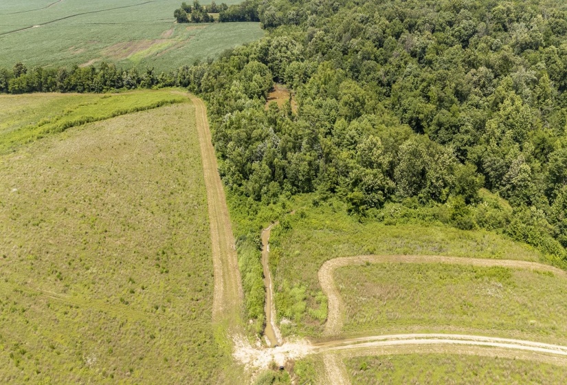 10157 CLIFTON RD, Savannah, Tennessee 38372, ,Land,For Sale,CLIFTON,10223864
